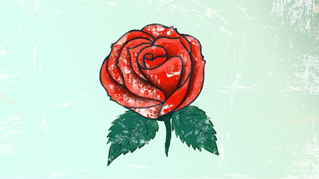 Rose vintage is drawing of art. Illustration vector