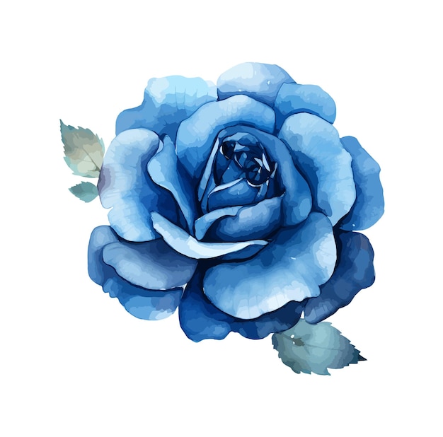 Rose Watercolor Clipart Vector