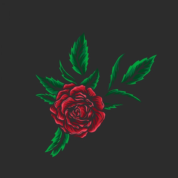 Rose with leaf Hand Drawn Illustration