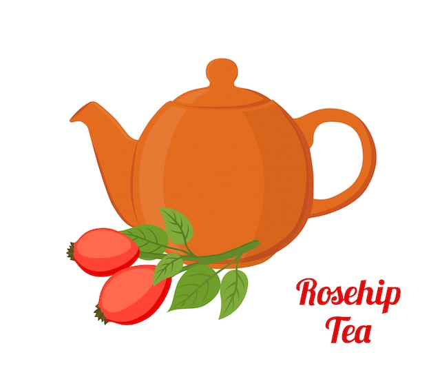 Rosehip, briar tea, rose haw kettle. Cartoon flat style