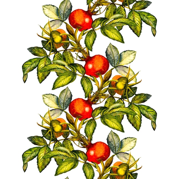 Rosehip seamless pattern on white background