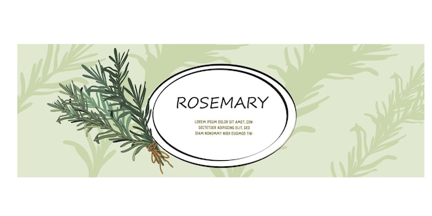 Vector rosemary food label or horizontal banner hand drawn design vector