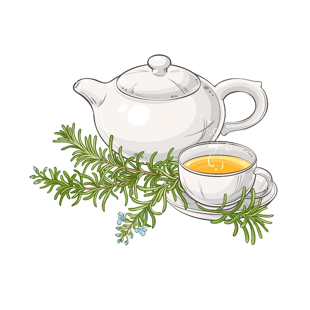 rosemary tea illustration