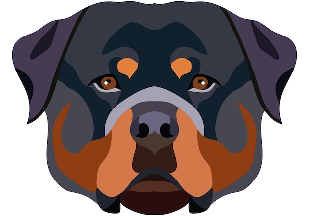 Rottweiler face Vector portrait of a dog head isolated on white background