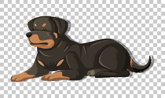 Rottweiler in laying position cartoon character isolated on transparent background