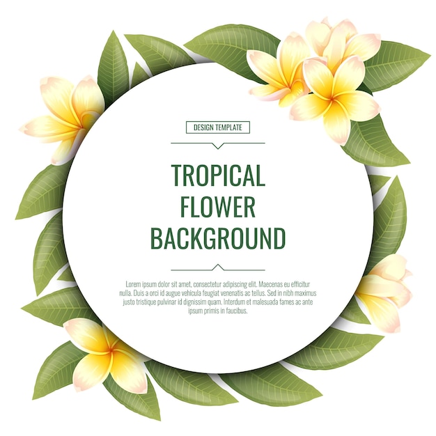 Round background with plumeria flowers Tropical frangipani plant Banner poster flyer postcard