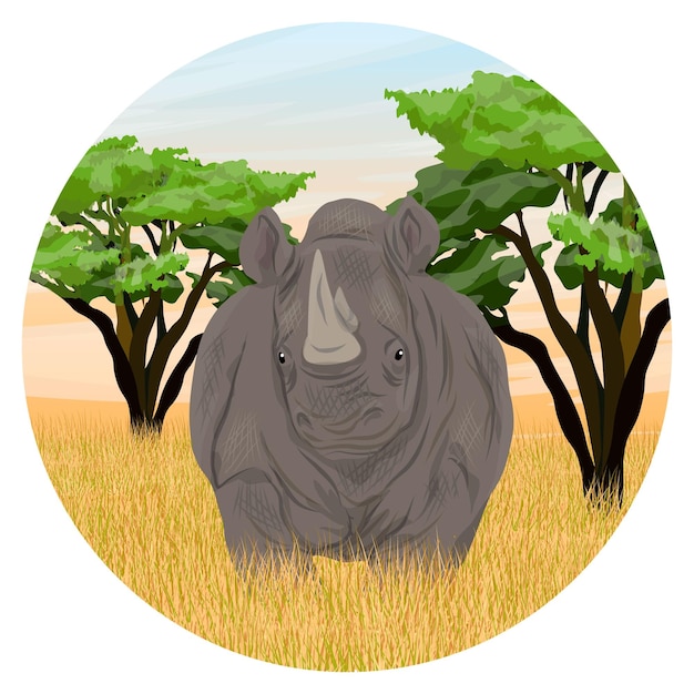 Round composition An adult white rhinoceros in African savannah Sunset in Africa Realistic vector