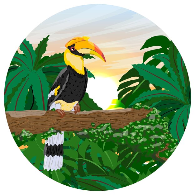 Round composition Wild tropical bird Great hornbill Buceros bicornis sits on a branch in the tropic