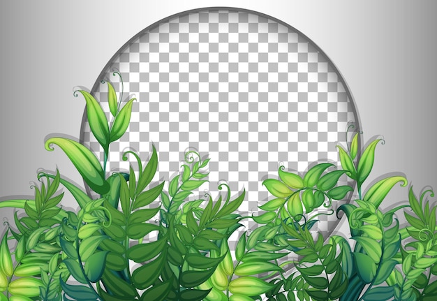 Round frame transparent with tropical leaves template