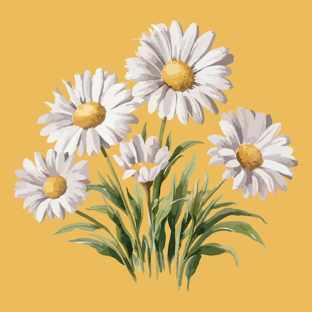 round Shape water color daisy flowers clipart vector Design