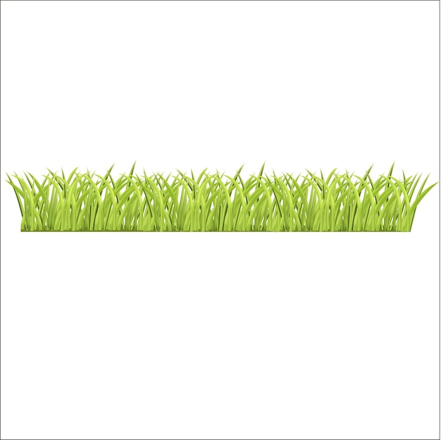 Row of fresh green grass for you