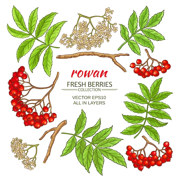 Rowan elements set