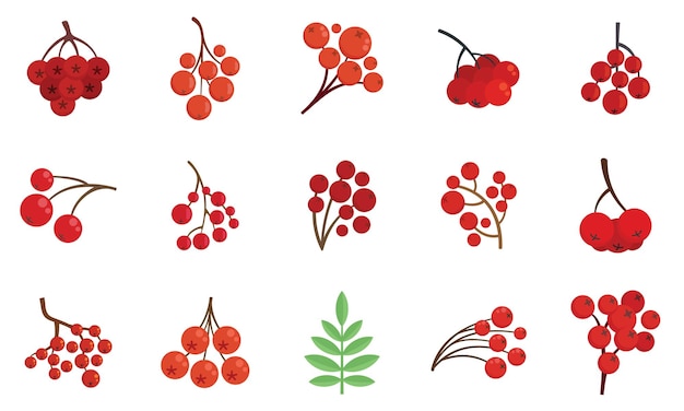 Rowan icons set flat style