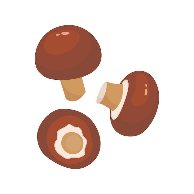 Royal Brown champignon Champignon culinary ingredient design element