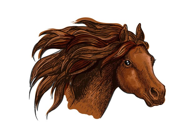 Vector running horse head close up portrait