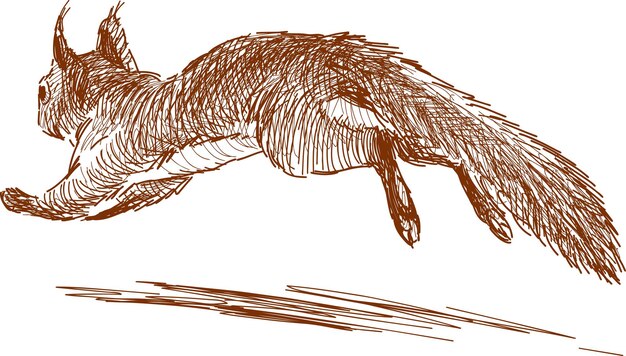 Running squirrel sketch