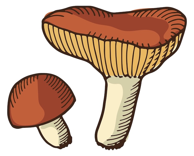 Russula hand drawn icon Edible mushroom sketch