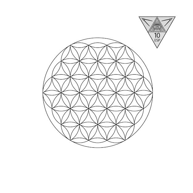 Sacred geometry vector illustration isolated on white sacred geometry black lines on a white backgro