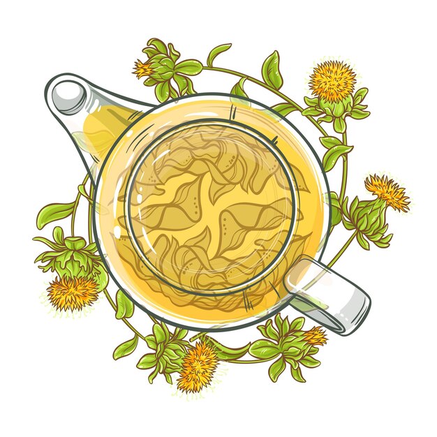 safflower tea vector illustration