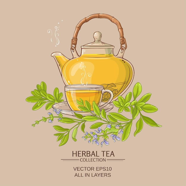 Sage tea illustration