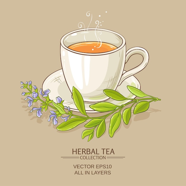 Sage tea illustration