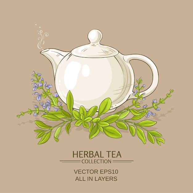 Sage tea illustration