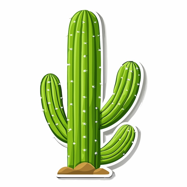 Vector saguaro cactus plant on a isolated white background 18