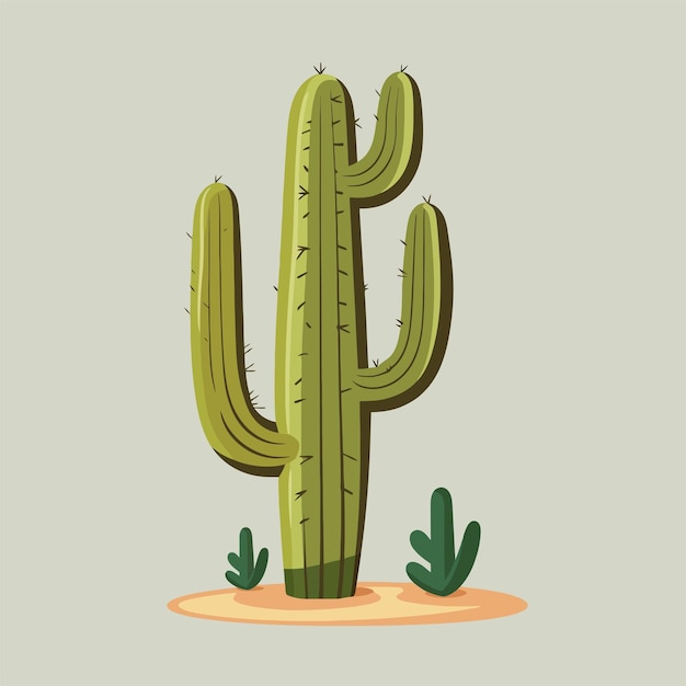 saguaro cactus vector flat illustration