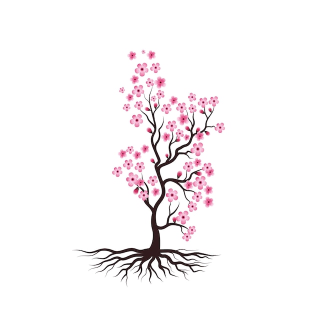 Sakura Beauty flower Vector icon