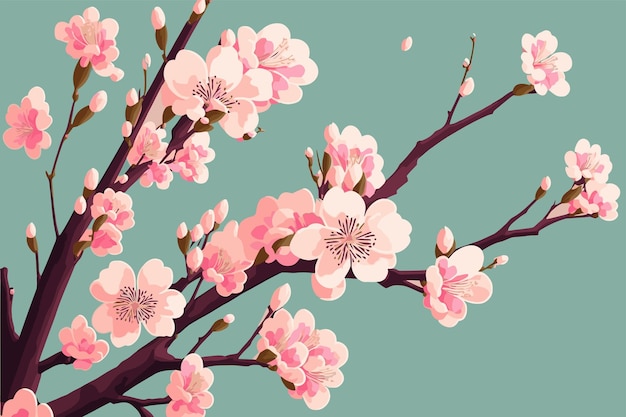 Sakura branch cherry blossoming flower tree japan spring flowers background