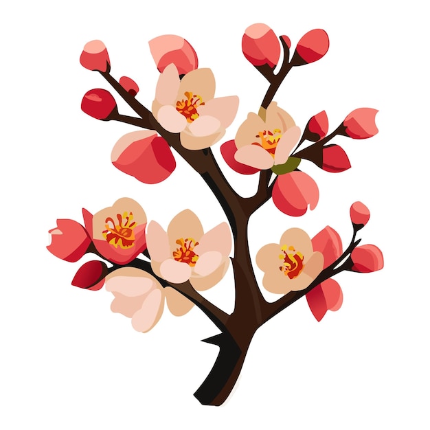 Sakura branch Pink cherry blossoms Flowering trees Vector illustration on a white background