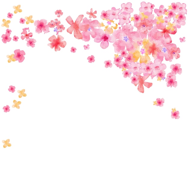 Sakura flower illustration