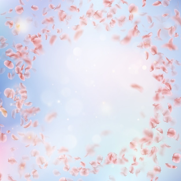 Sakura flying downwind petals on wind.  