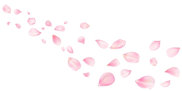 Sakura flying petals romantic background flowers