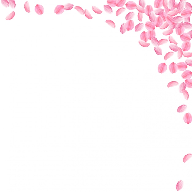 Vector sakura petals falling down. romantic pink bright medium flowers. thick flying cherry petals.