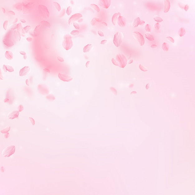 Sakura petals falling down. Romantic pink flowers gradient.