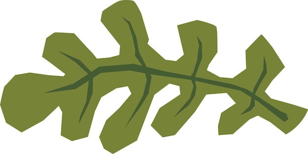 Vector salad leaf hand drawn