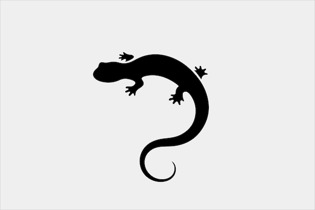 A Salamander silhouette on white background