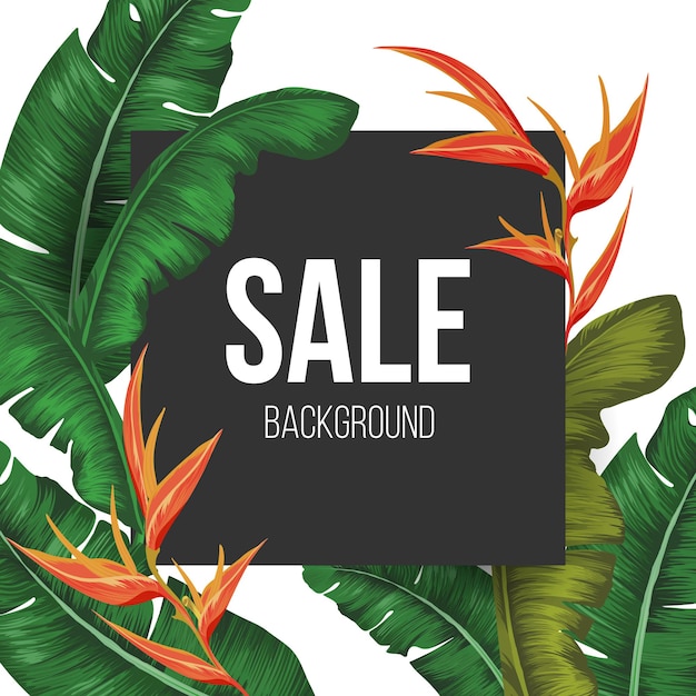 Sale background vector illustration with tropical plants