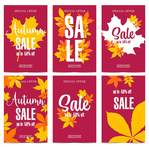 Sale banner for autumn discount and special offer shopping season with bright fall leaves.