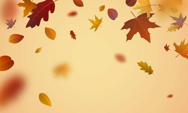 Sale poster design for autumn With leaves not falling beautifully on the background