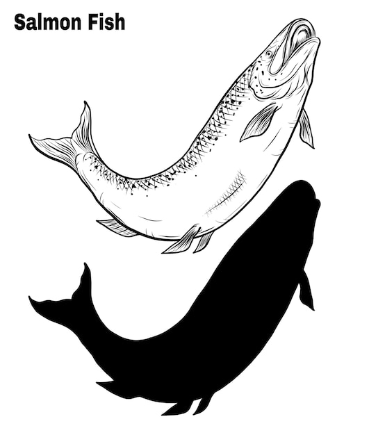 Salmon art highly detailed in line art style