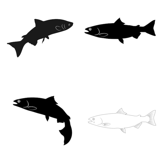 salmon fish icon vector