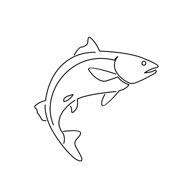 Salmon Fish outline illustration