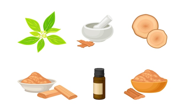 Vector sandalwood timber and wood material with fragrant powder in bowl vector set