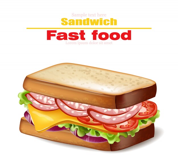 Vector sandwich fast food illustration