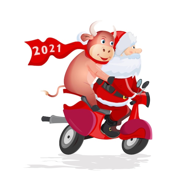 Santa Claus and funny bull rides a red scooter on white background.