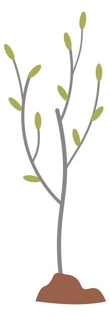 Sapling icon Growing young tree Gardening plant