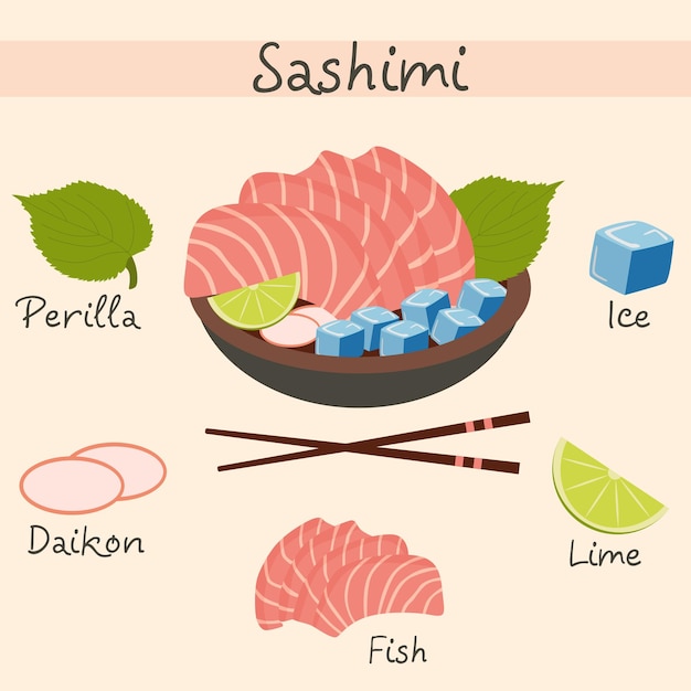 Vector sashimi recipe japanese dish asian food