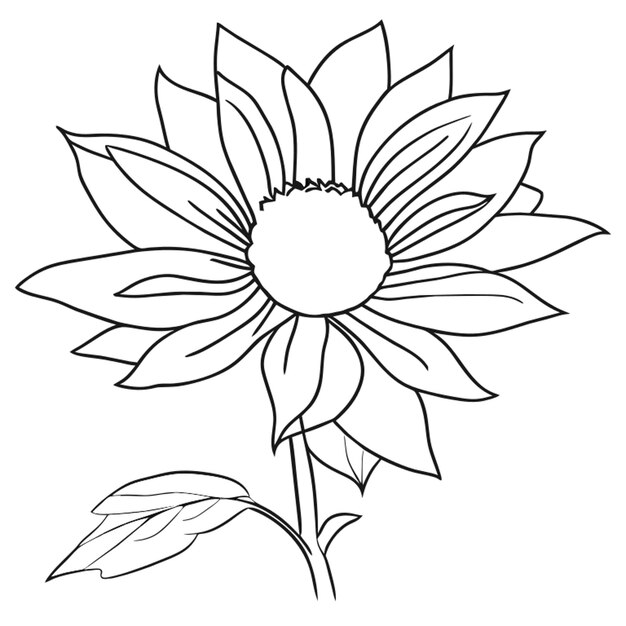 savage flower coloring pages the sneak peek for the next gift of the day tomorrow do you like this